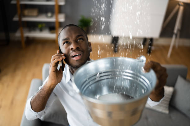 Best Carpet water damage restoration  in Smithville, NJ