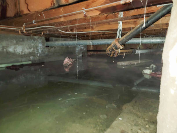 Best Fire Damage Restoration  in Smithville, NJ