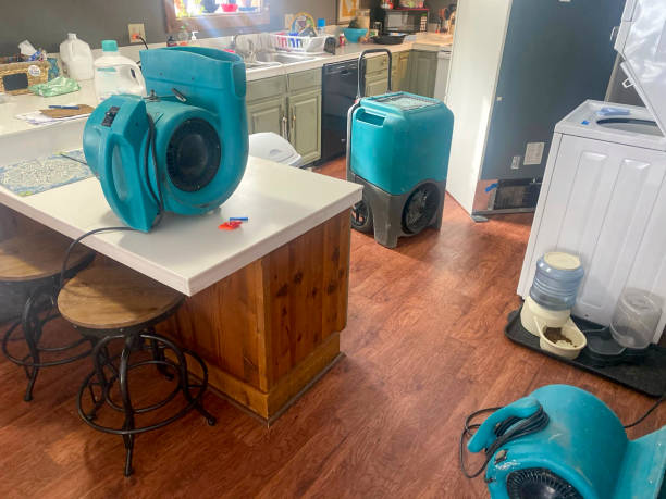 Best Sewage cleanup and water damage restoration  in Smithville, NJ