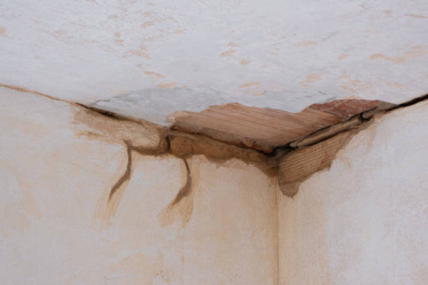 Best Water damage restoration near me  in Smithville, NJ