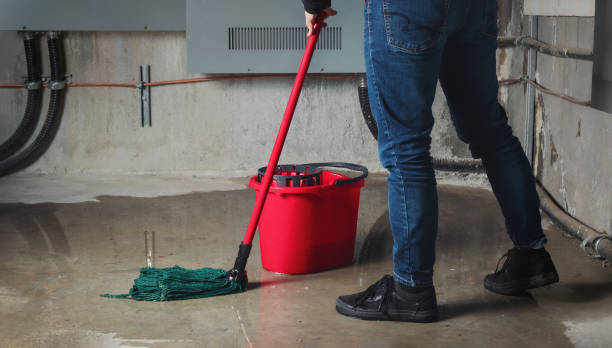Best Sewage cleanup and water damage restoration  in Smithville, NJ