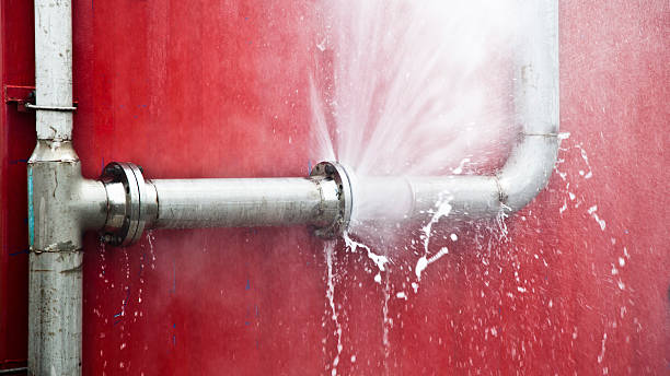 Best 24-hour water damage restoration  in Smithville, NJ